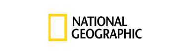Logo 13
